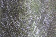 North Willingham fibreglass roof work